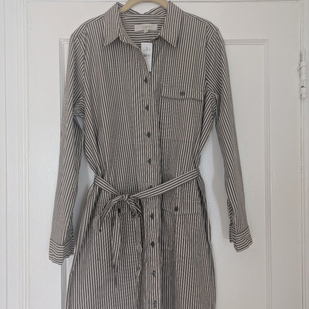 Ann Taylor Loft Belted Mini Pocket Shirtdress Brown/Ivory Striped Women's 12